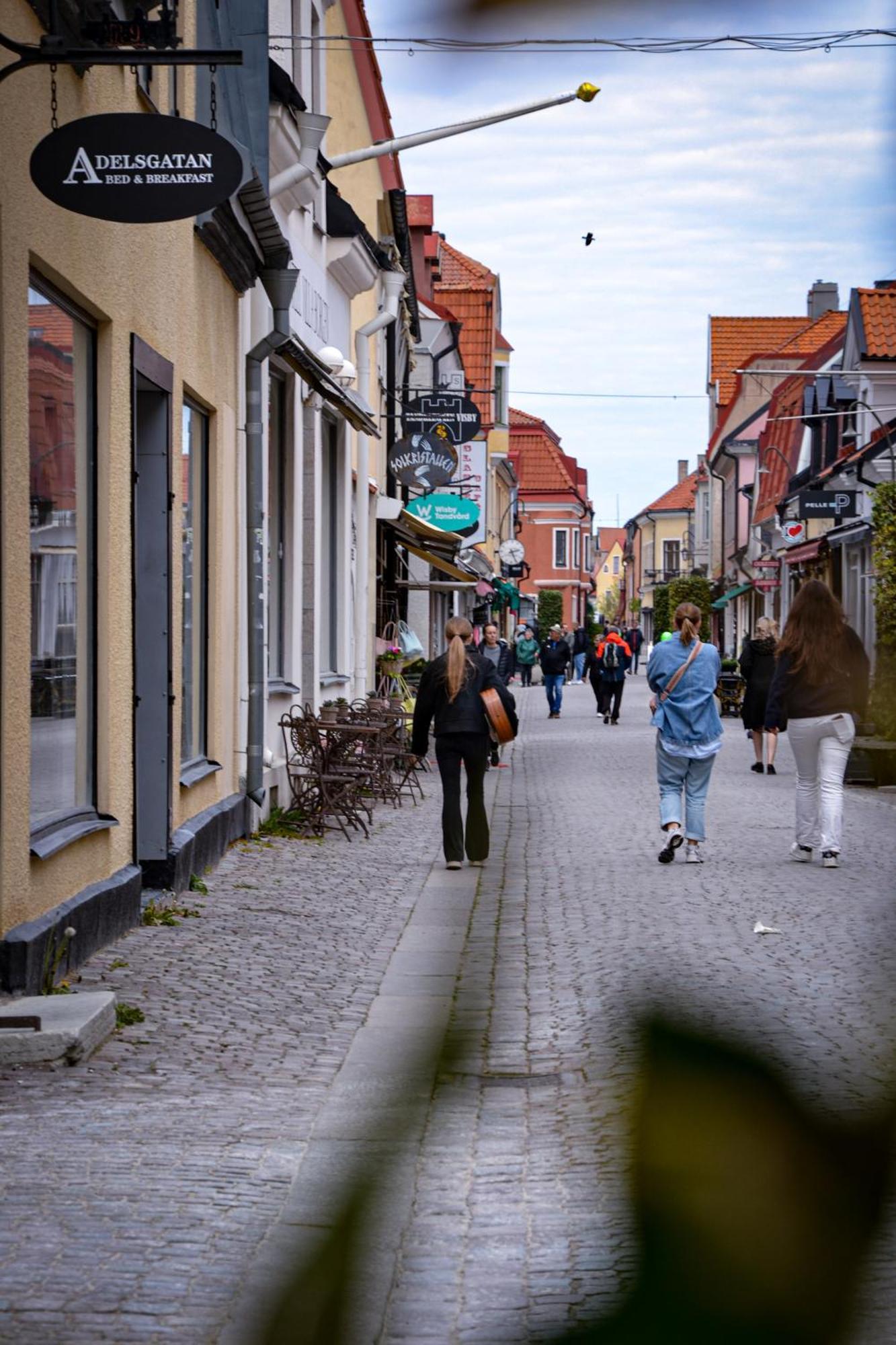 Adelsgatan Bed & Breakfast Visby Ngoại thất bức ảnh